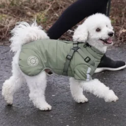 Ollipet Sirius DeLuxe Dynejakke
