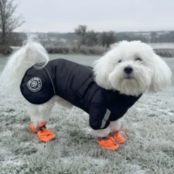 Ollipet Sirius DeLuxe Dynejakke