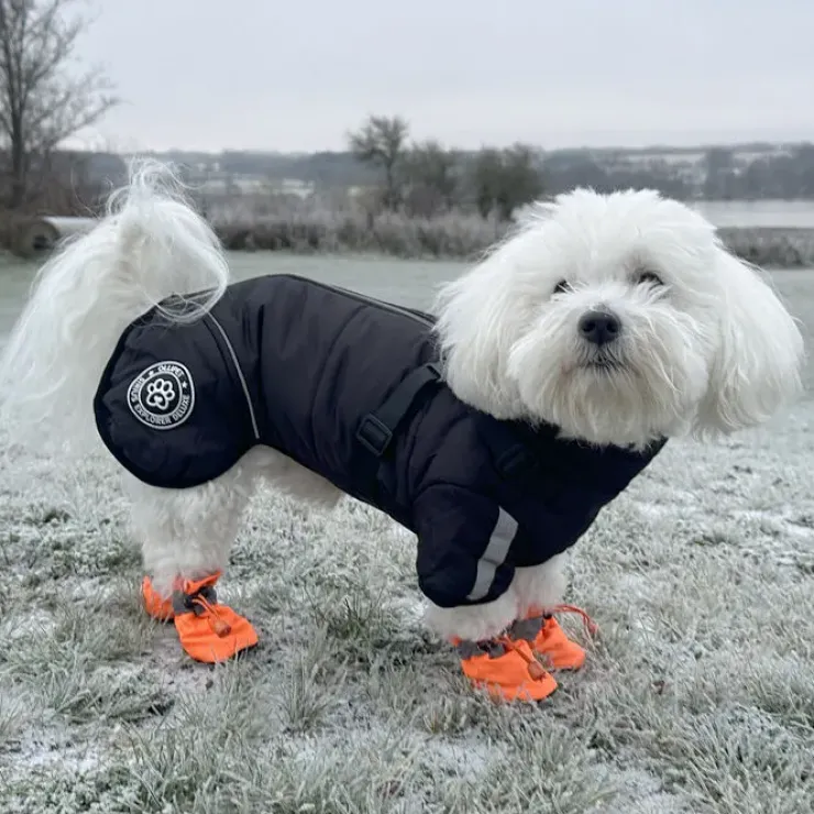 Ollipet Sirius DeLuxe Dynejakke