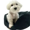 Ollipet Tweed Step-in hundesele | Sand