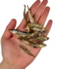 Ozami Dog Snack Dried Smelt | 50g