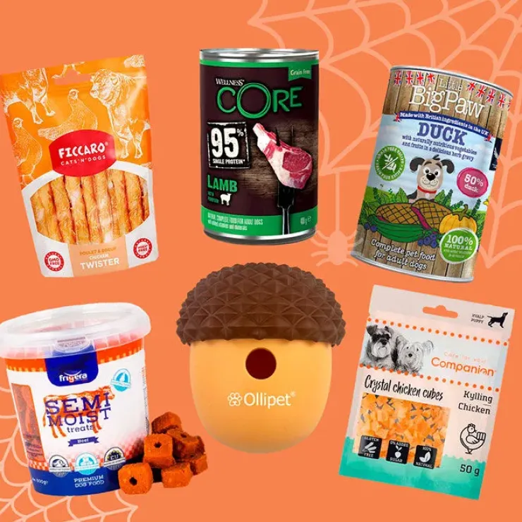 Pakketilbud | Halloweenpakke