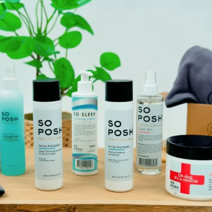 Pakketilbud | So Posh I'm So Fantastic Professional hundeudstilingssæt