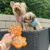 Pup Fun Spiselig slikkeplade | Mango 2 stk.