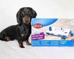 Trixie Move2win | Aktivitetsspil level 3